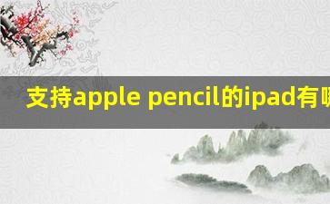 支持apple pencil的ipad有哪些